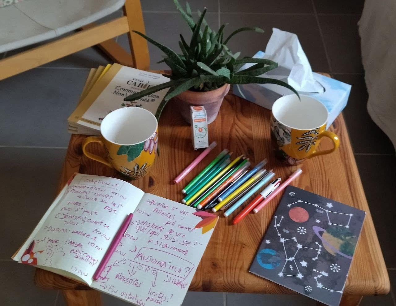 bilan de comptences avec la luciole